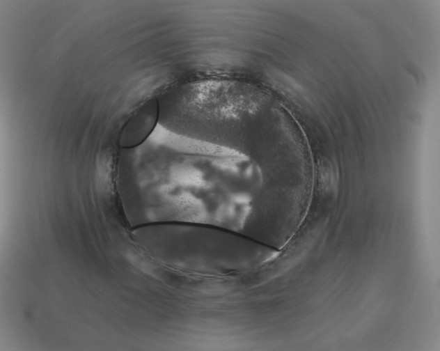 X0000113981060200910161617