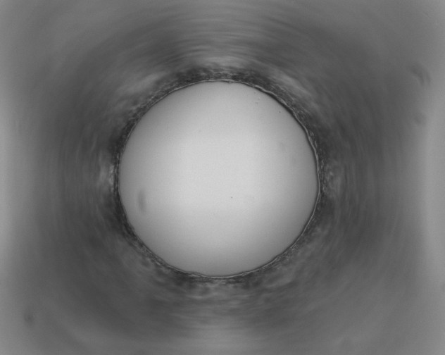 X0000113981061200910161617