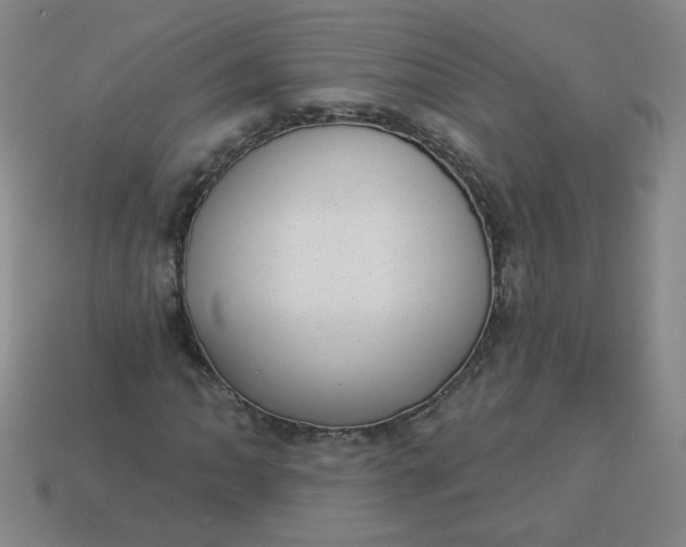 X0000113981062200910161617