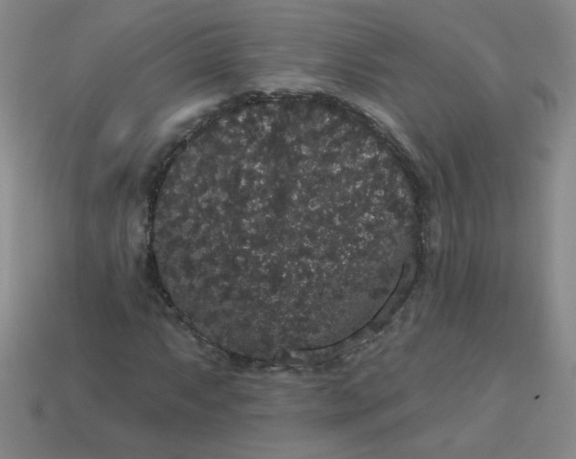 X0000113981063200910161617