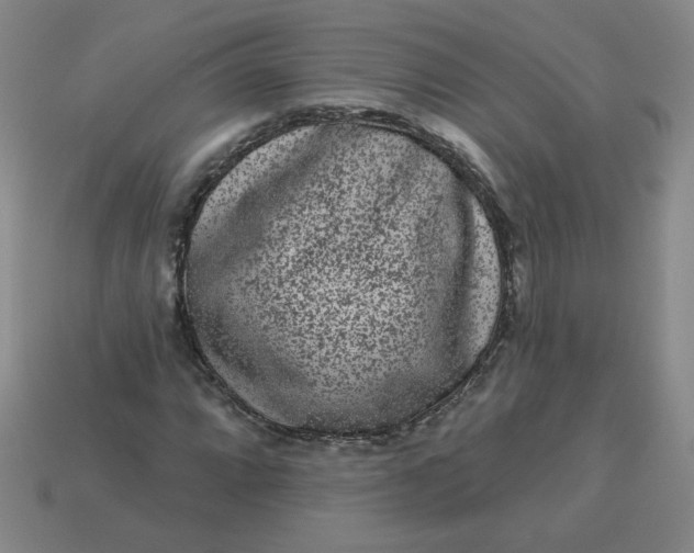 X0000113981064200910161617