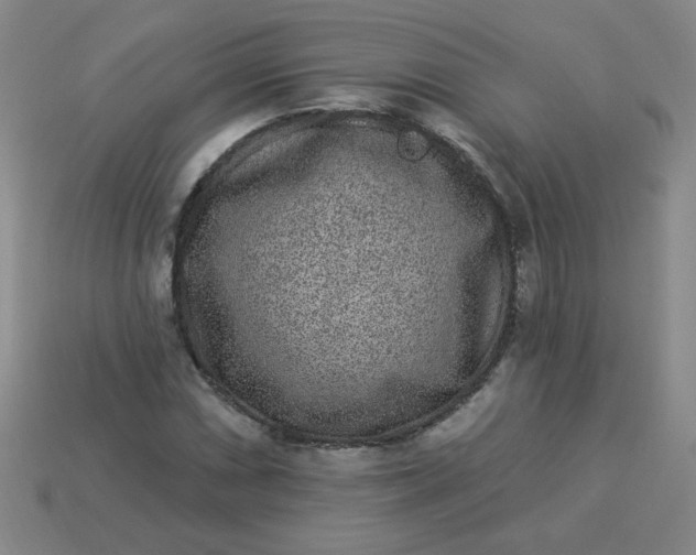 X0000113981066200910161617