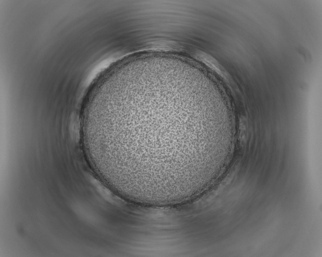 X0000113981067200910161617