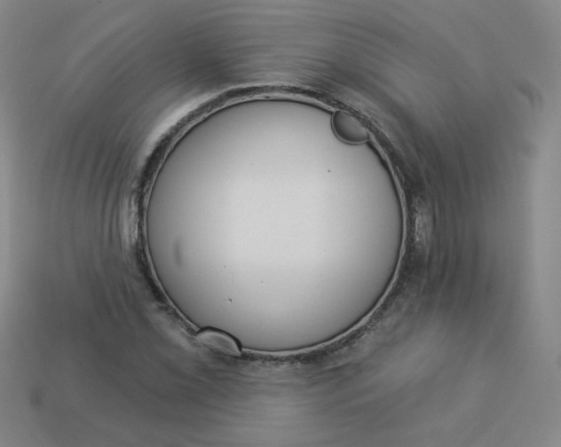 X0000113981069200910161617