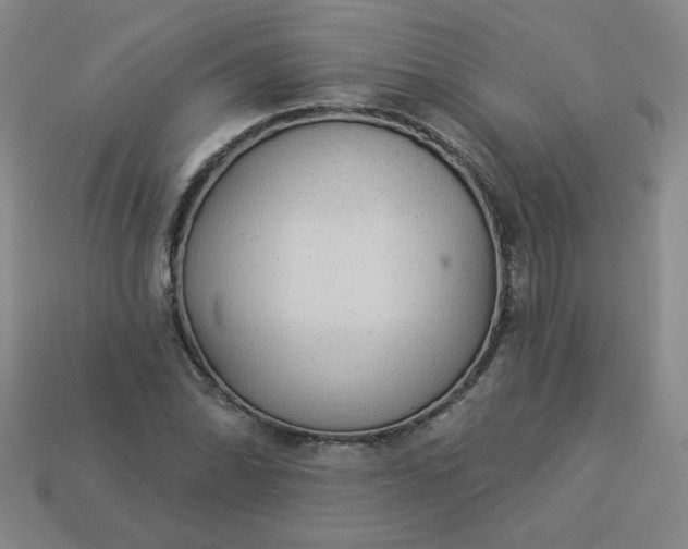 X0000113981070200910161617