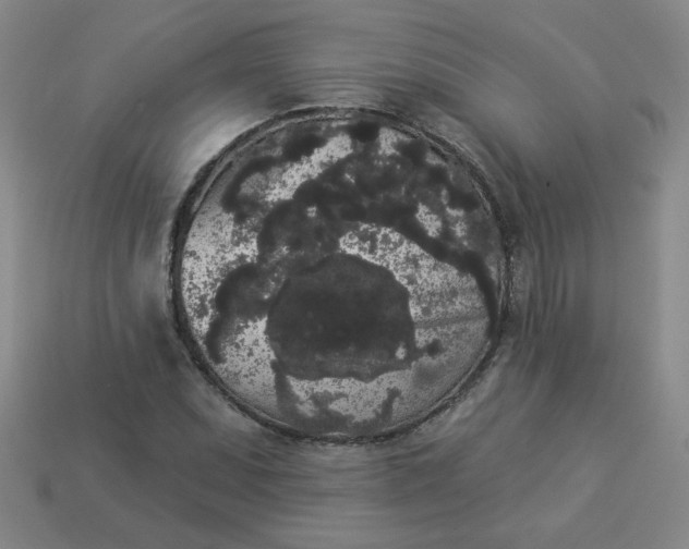 X0000113981071200910161617