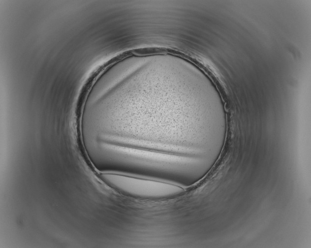 X0000113981072200910161617