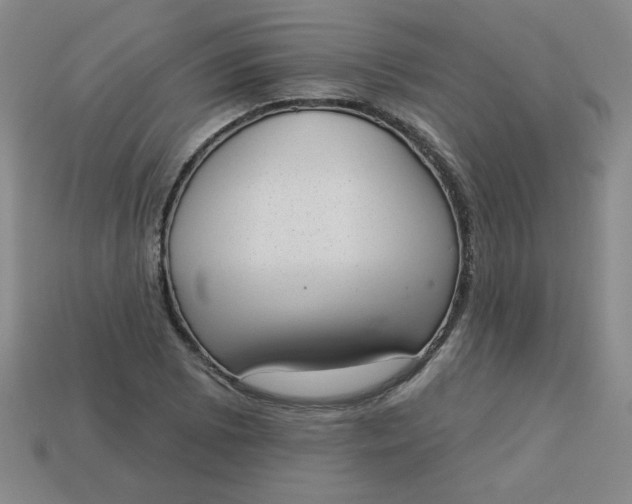 X0000113981073200910161617