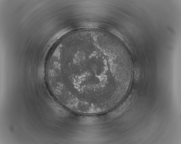 X0000113981074200910161617