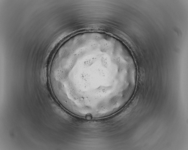 X0000113981075200910161617