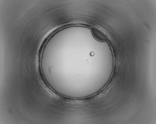 X0000113981076200910161617