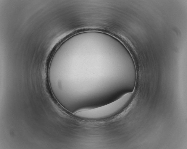 X0000113981077200910161617