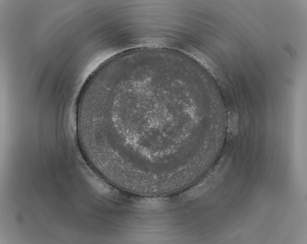 X0000113981078200910161617