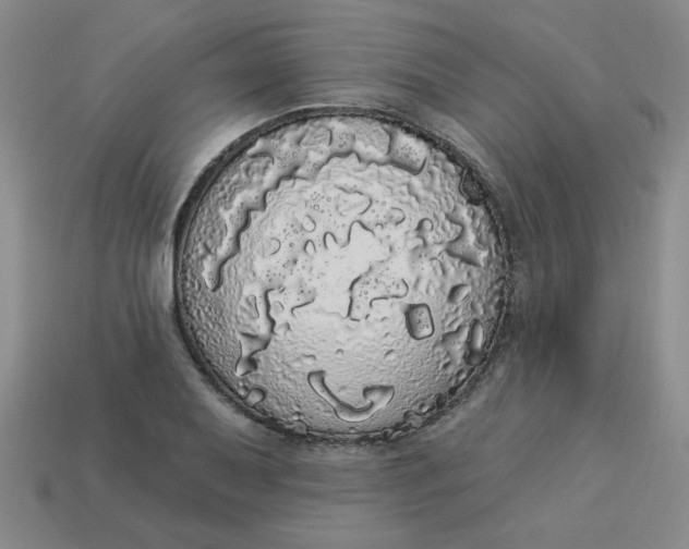 X0000113981079200910161617