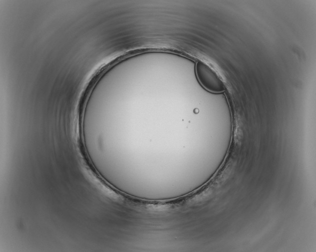 X0000113981080200910161617