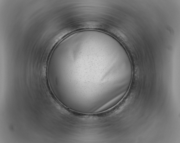 X0000113981081200910161617