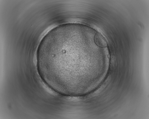 X0000113981082200910161617