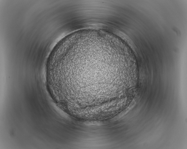 X0000113981083200910161617