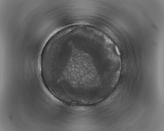 X0000113981084200910161617