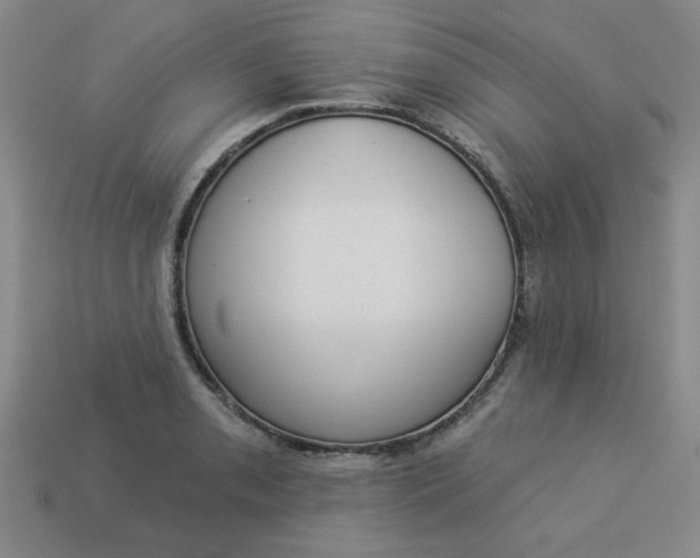 X0000113981085200910161617