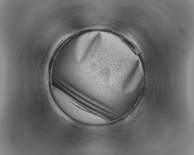 X0000113981088200910161617