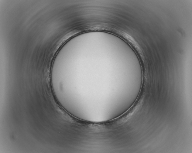 X0000113981089200910161617