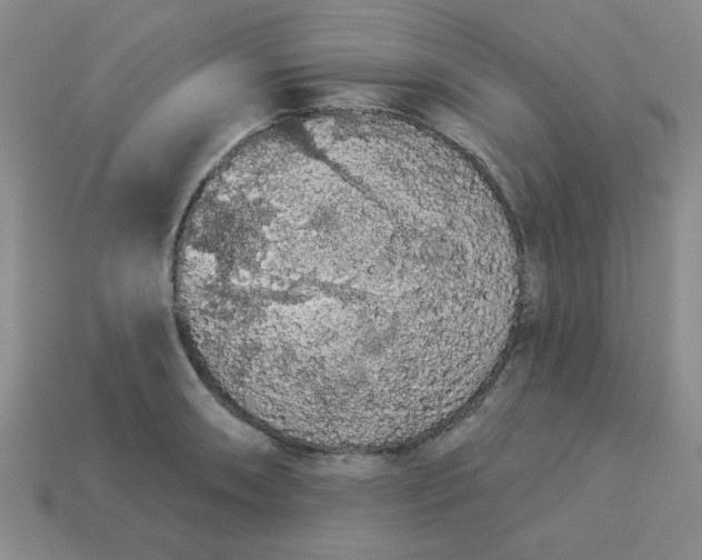 X0000113981090200910161617