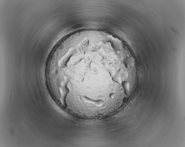 X0000113981091200910161617