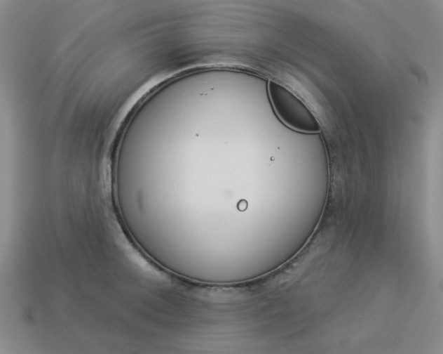 X0000113981092200910161617