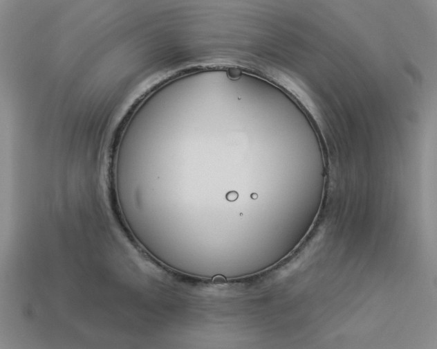 X0000113981093200910161617