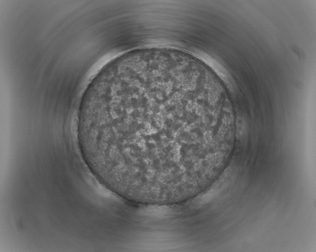 X0000113981094200910161617