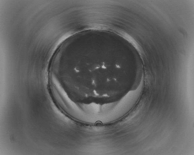 X0000113981095200910161617