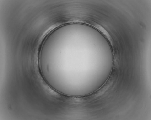 X0000113981096200910161617