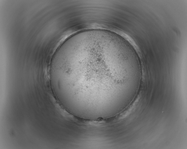 X0000113981097200910161617