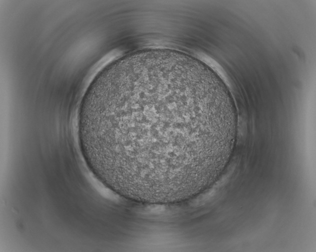 X0000113981098200910161617