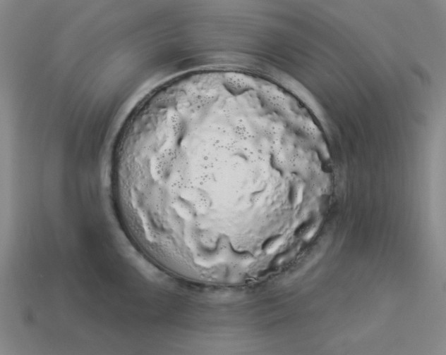 X0000113981099200910161617