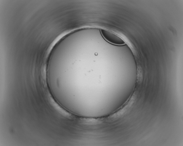 X0000113981100200910161617