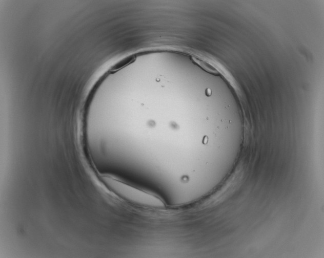 X0000113981101200910161617