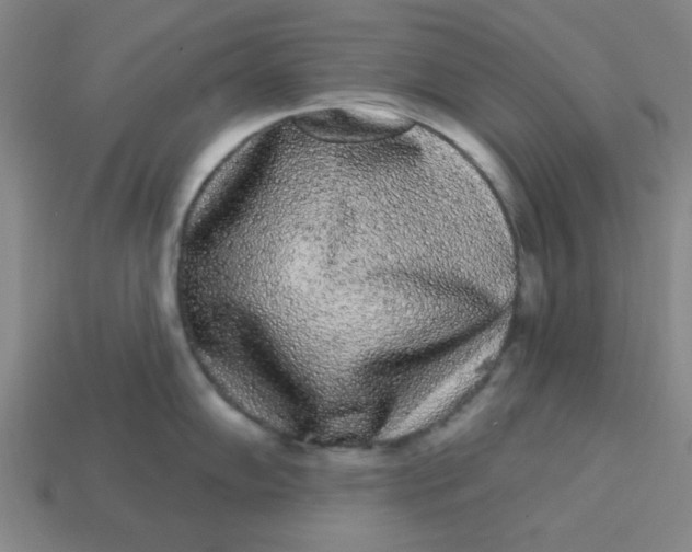 X0000113981102200910161617