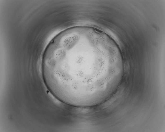 X0000113981103200910161617