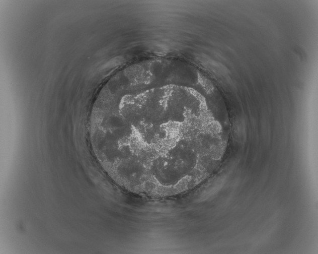 X0000113981105200910161616