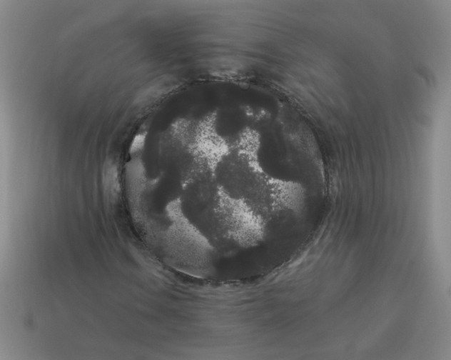 X0000113981106200910161616