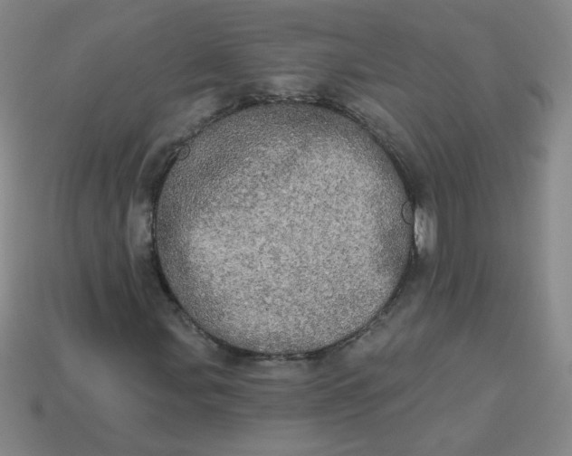 X0000113981107200910161616