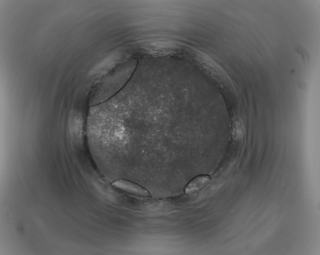 X0000113981108200910161616