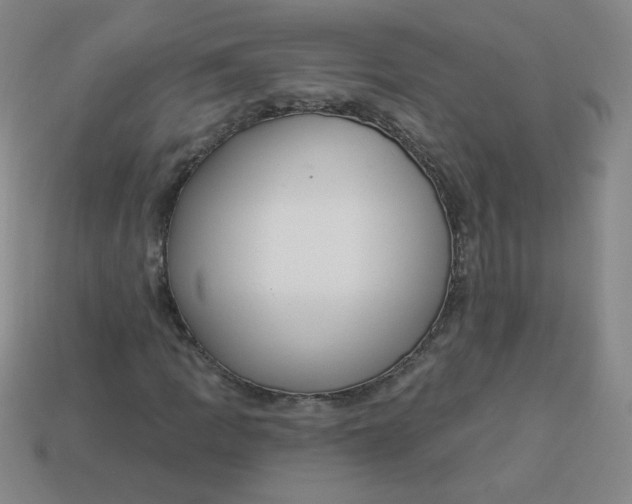 X0000113981109200910161616