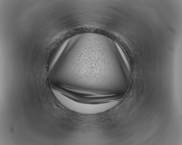 X0000113981110200910161616