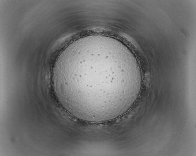 X0000113981111200910161616