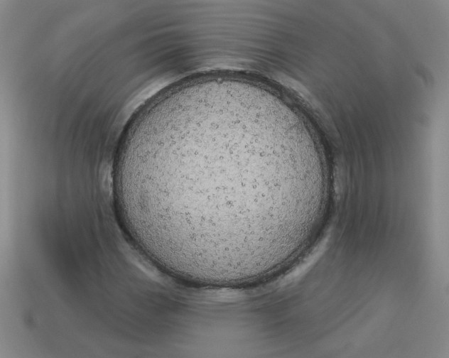 X0000113981113200910161616