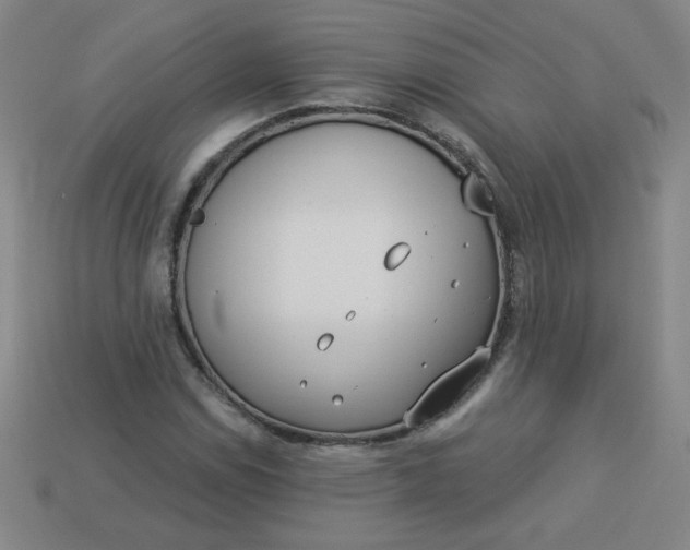 X0000113981114200910161616