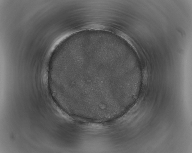 X0000113981115200910161616